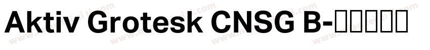 Aktiv Grotesk CNSG B字体转换